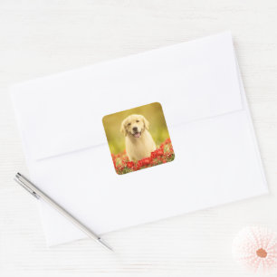 Golden Retirever in Red Flowers Square Sticker