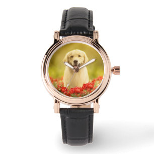 Golden Retirever in Red Flowers Watch