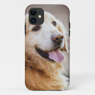Golden retiver, Dog, Happy dog iPhone 11 Case