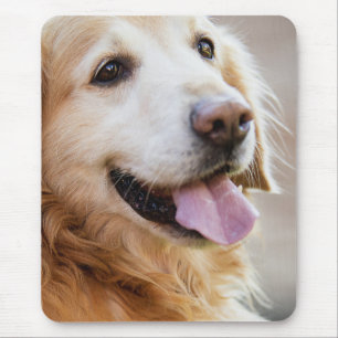 Golden retiver, Dog, Happy dog Mouse Mat