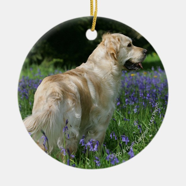 Golden Retreiver in Flowers Ceramic Tree Decoration (Front)