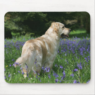Golden Retreiver in Flowers Mouse Mat
