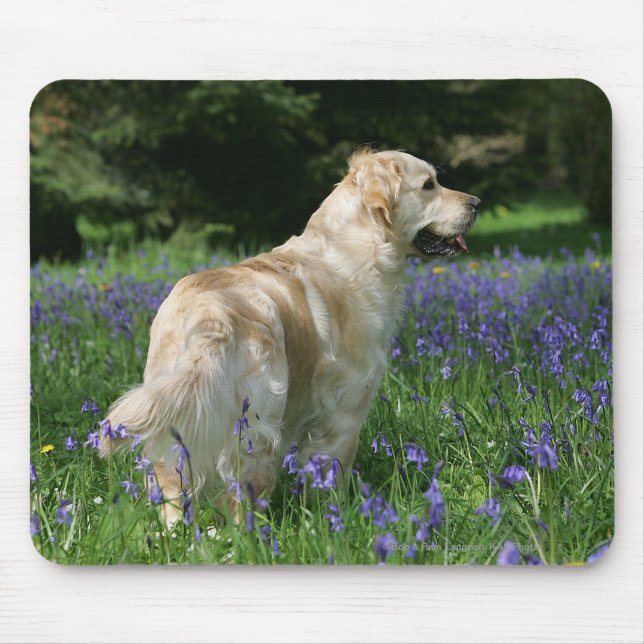 Golden Retreiver in Flowers Mouse Mat (Front)