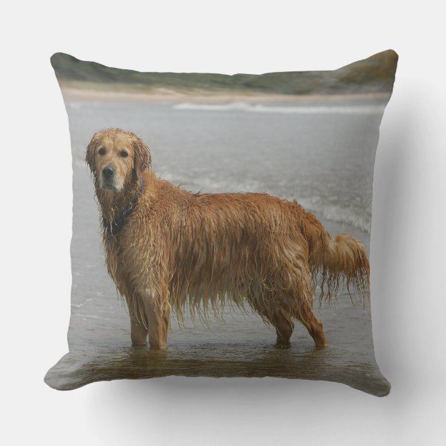 Golden Retreiver in the Sea Cushion (Front)