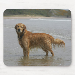 Golden Retreiver in the Sea Mouse Mat