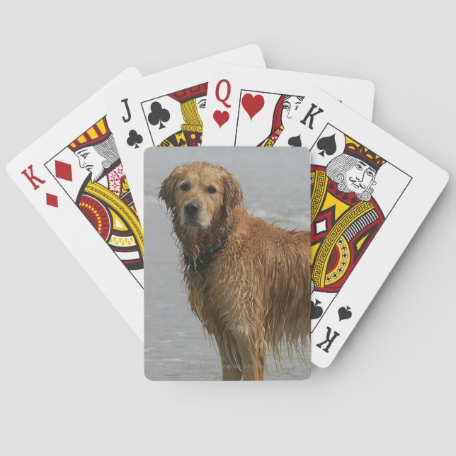 Golden Retreiver in the Sea Playing Cards (Back)