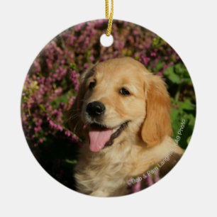 Golden Retreiver Puppy Ceramic Tree Decoration