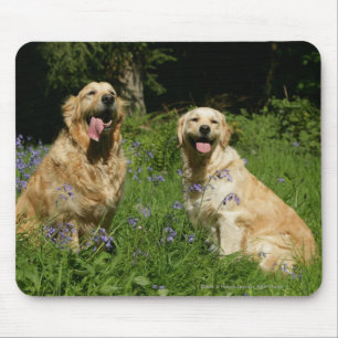 Golden Retreivers in Grass Mouse Mat