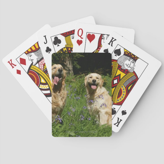 Golden Retreivers in Grass Playing Cards (Back)