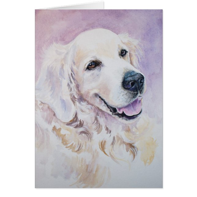 Golden retriever (Front)