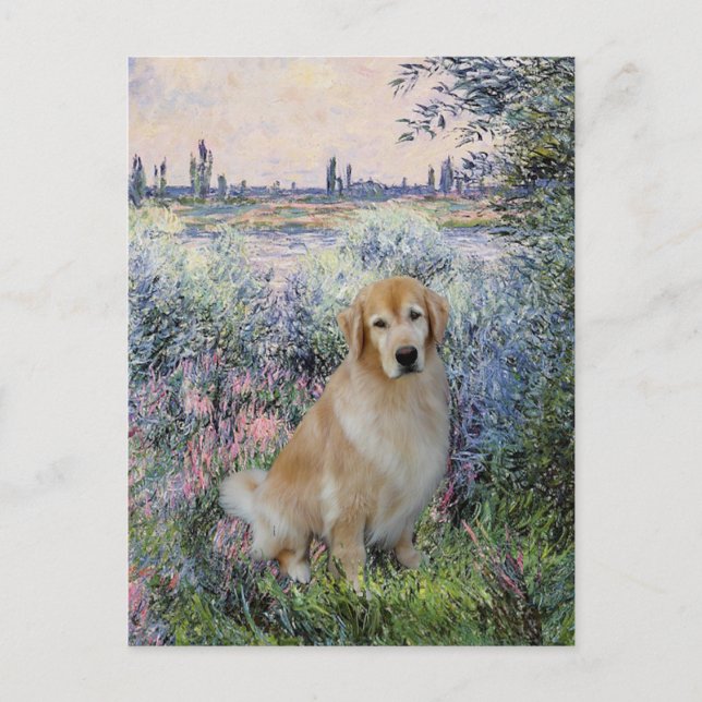 Golden Retriever10 - By the Seine Postcard (Front)