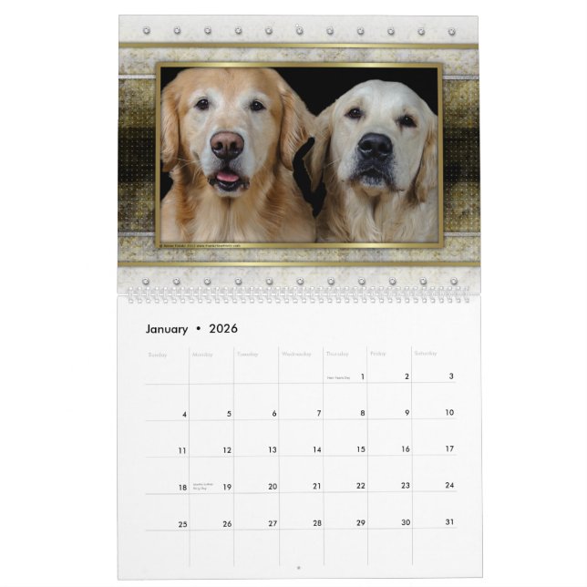 Golden Retriever 2014 Calendar (Jan 2026)