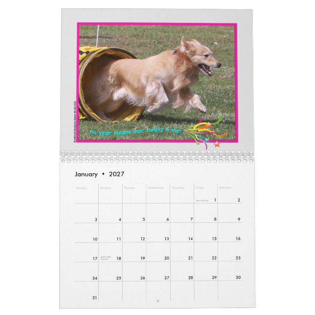 Golden Retriever 2015 Calendar (Jan 2027)