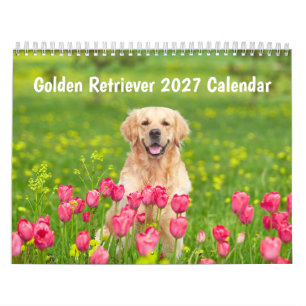 Golden retriever 2027 Calendar