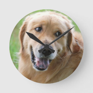 golden-retriever-31 round clock