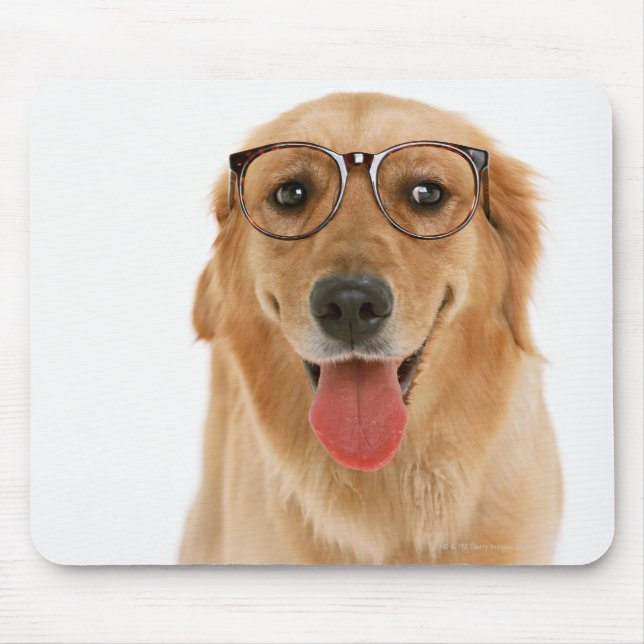 Golden Retriever 3 Mouse Mat (Front)