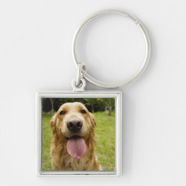 Golden Retriever 4 Key Ring (Front)