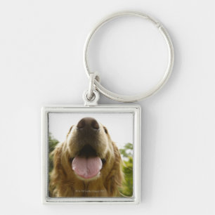 Golden Retriever 5 Key Ring