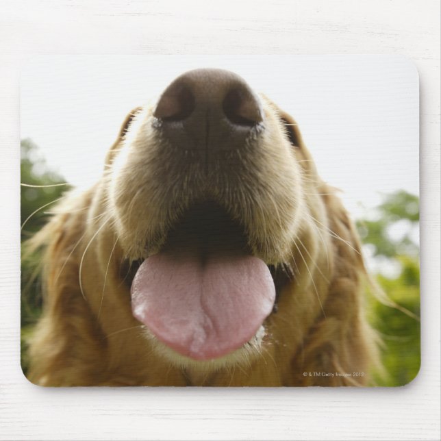 Golden Retriever 5 Mouse Mat (Front)