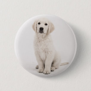 golden retriever 6 cm round badge