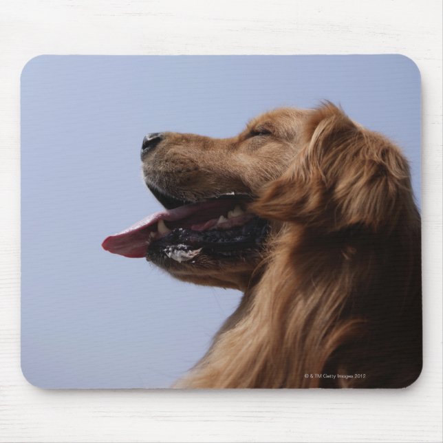 Golden Retriever 6 Mouse Mat (Front)