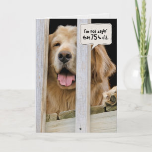 Golden Retriever 75th birthday Card