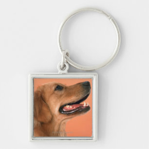 Golden Retriever 7 Key Ring