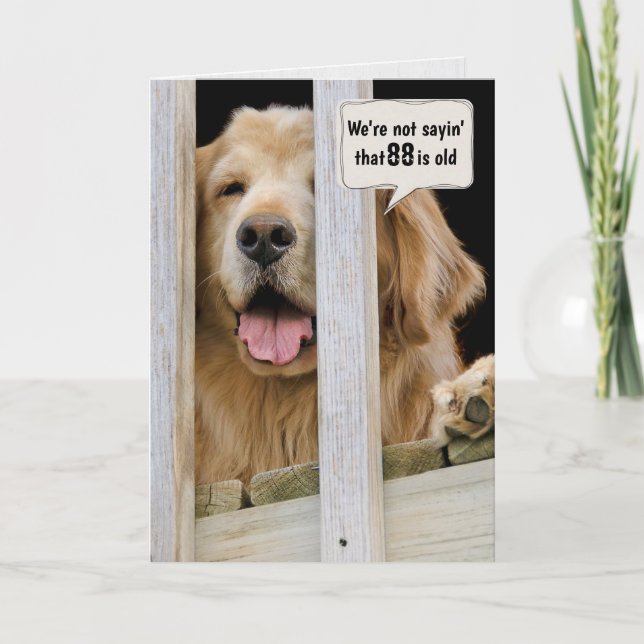 Golden Retriever 88th Birthday Humour  Card (Front)