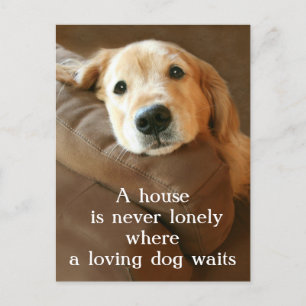 Golden Retriever A House Is Never Lonely Postcard