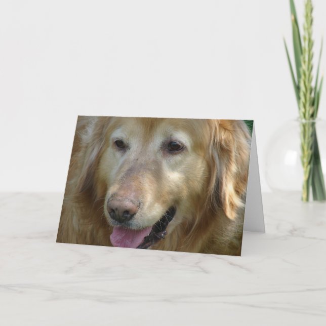Golden Retriever Aged 10 Years Card (Front)