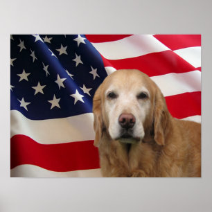 Golden Retriever American Flag Print