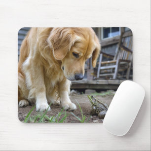 Golden Retriever and Frog Stare Down Mouse Mat