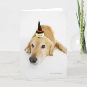 Golden retriever and ornament card