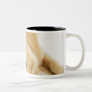 Golden retriever and ornament Two-Tone coffee mug