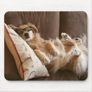 Golden Retriever Asleep on Pillow Mouse Mat