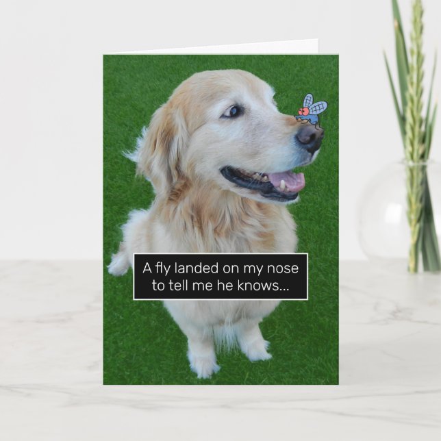 Golden Retriever Ate Birthday Rumour Spreading Fly Card (Front)