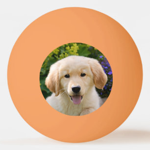Golden Retriever Baby Dog Puppy Funny Pet Photo * Ping Pong Ball