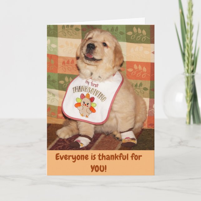 Golden Retriever Baby’s First Thanksgiving  Holiday Card (Front)