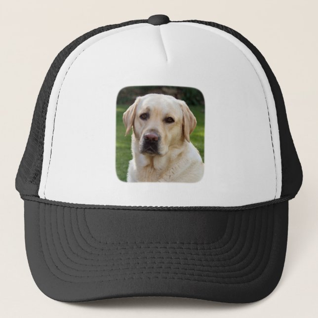 Golden Retriever Baseball / Trucker Hat (Front)