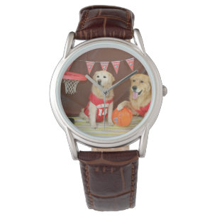 Golden Retriever Basketball Game Watch