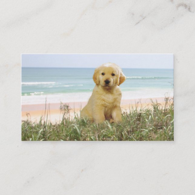 Golden Retriever Beach Grass Breeder Business Card (Front)