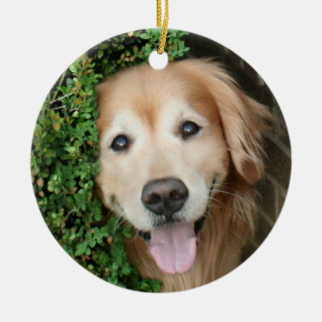 Golden Retriever Behind A Smile Ceramic Tree Decoration (Front)