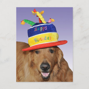 Golden Retriever birthday cake hat postcard