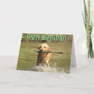 Golden retriever birthday card