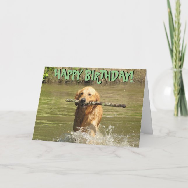 Golden retriever birthday card (Front)