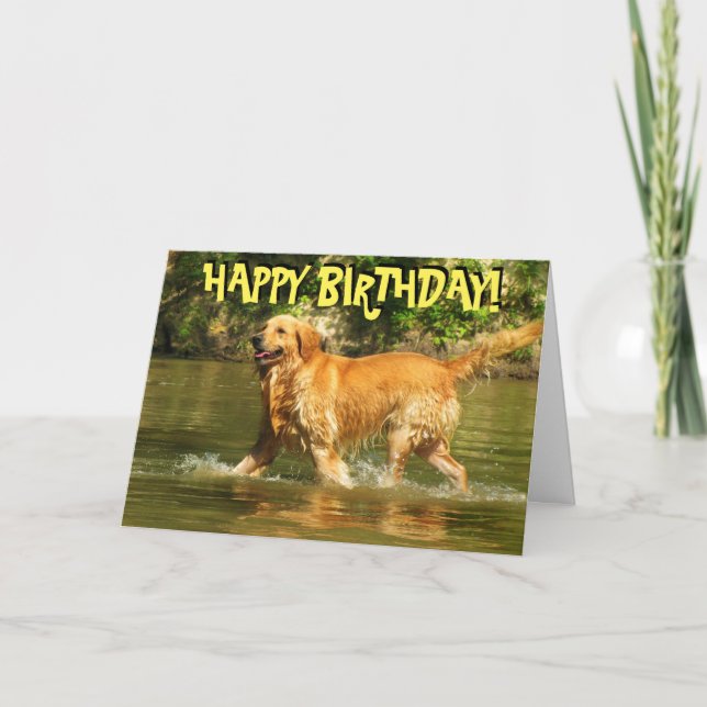 Golden retriever birthday card (Front)