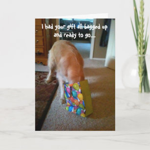 Golden Retriever Birthday Card