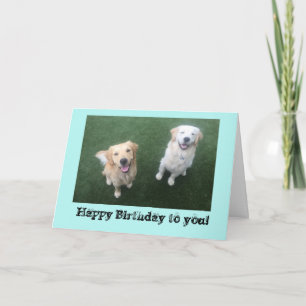 Golden Retriever Birthday Card
