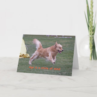 Golden Retriever Birthday Card 'Age'
