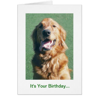 Golden Retriever Birthday Cards, Photo Card Templates, Invitations & More